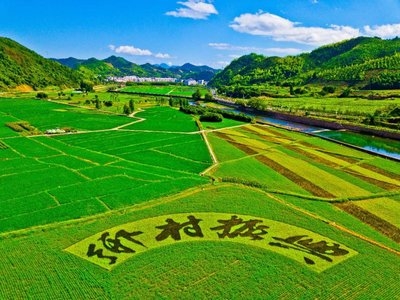 鄉(xiāng)村振興工作動態(tài) （第144期）