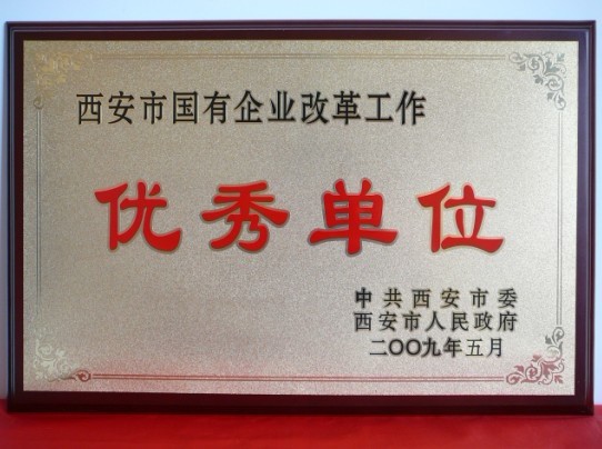 2009年5月，被西安市委、市政府評(píng)為西安市國(guó)企業(yè)改革工作優(yōu)秀單位